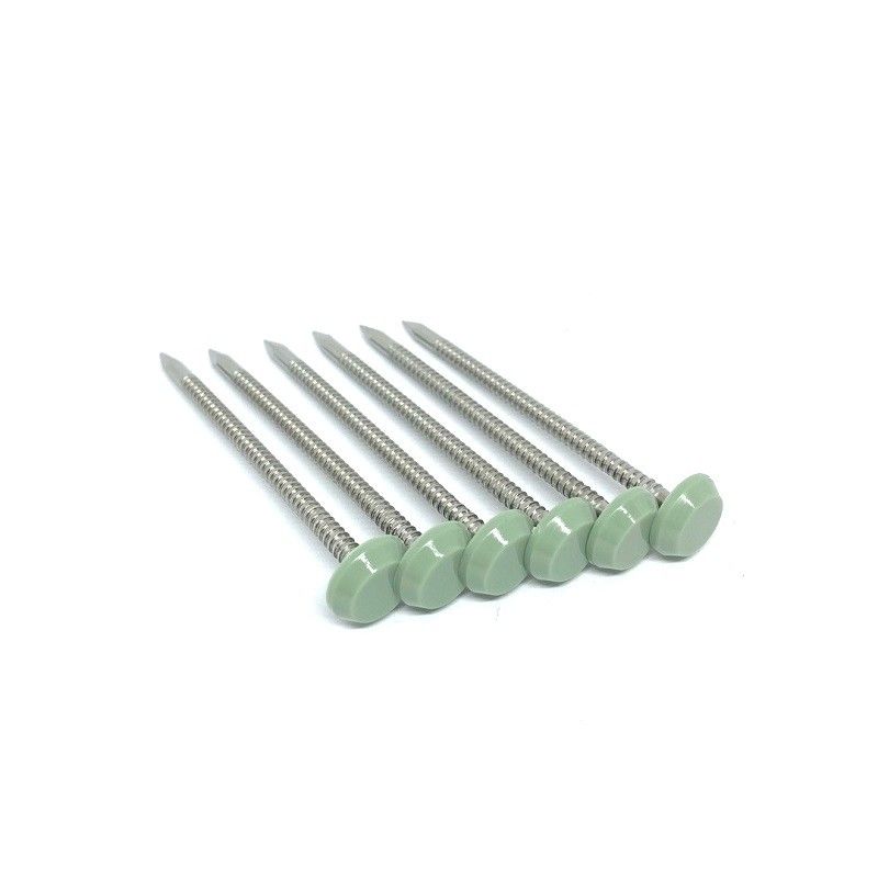 65mm Length Polished Plastic Headed Nails With Shark Point