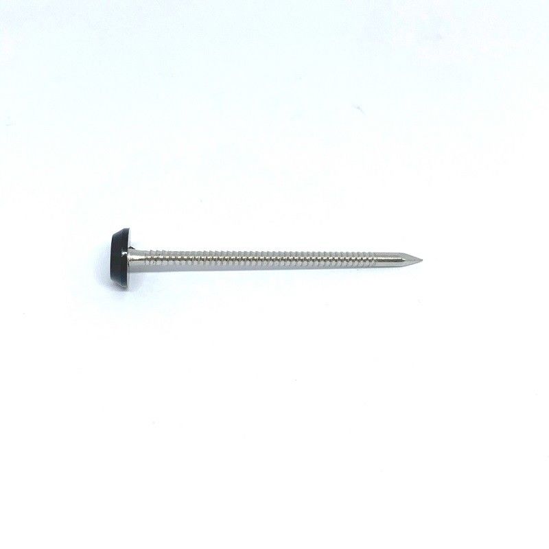 Stainless Steel Ringed Plastic Head Nails For Outside Construction