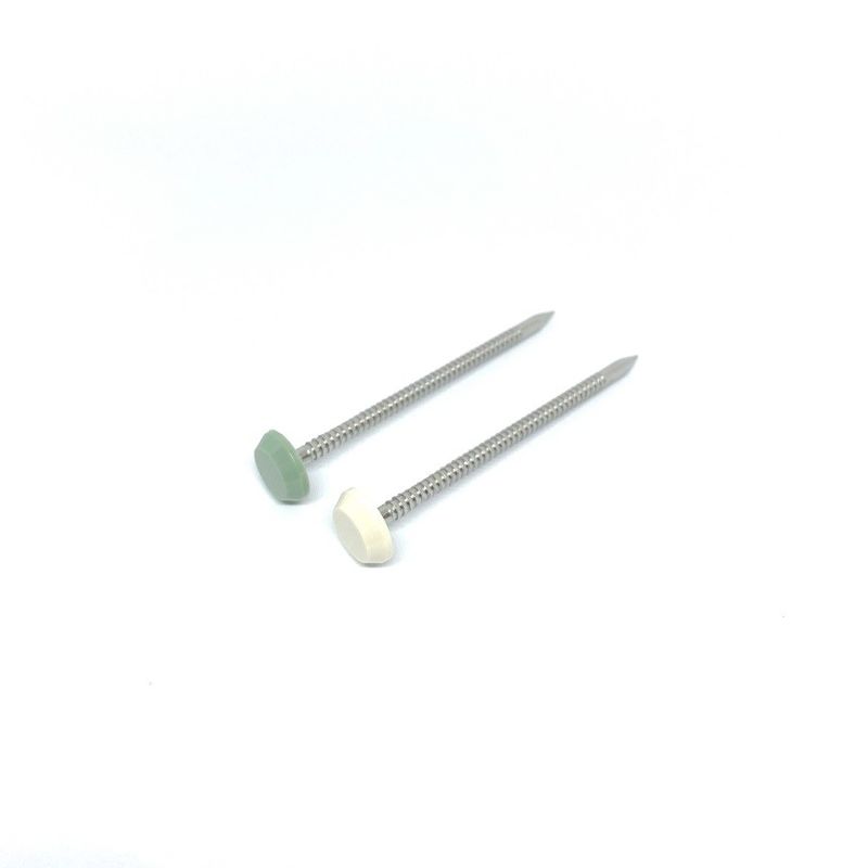 Stainless Steel Maintenance Free Plastic Headed Nails Nylon PA6 50MM Length